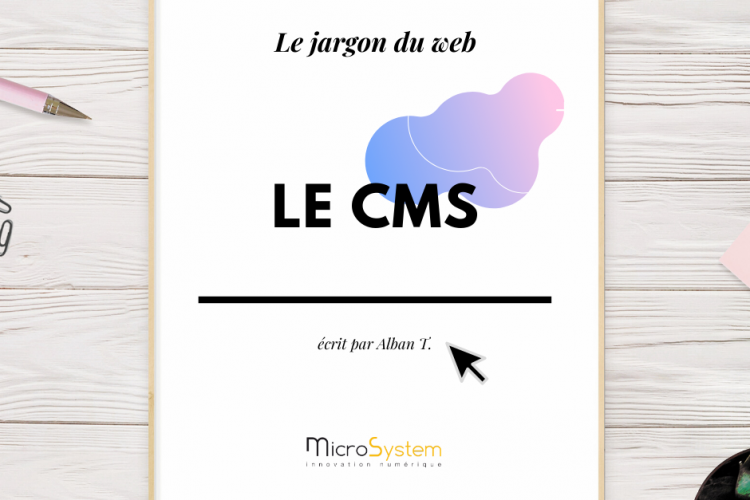 LE JARGON DU WEB : Le cms