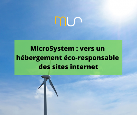 MicroSystem : vers un hébergement éco-responsable des sites internet